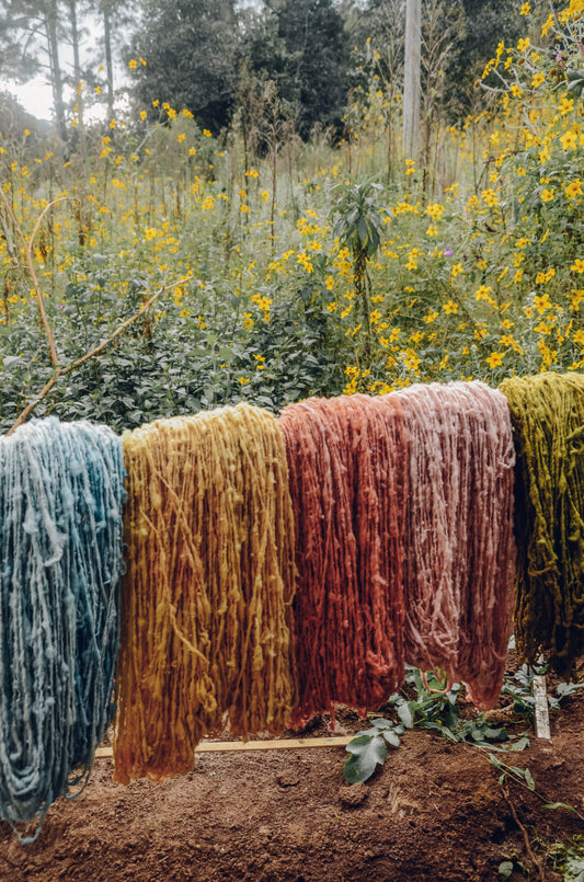 Weaving Together: foot loom in Momostenango - March 5 to 12, 2027