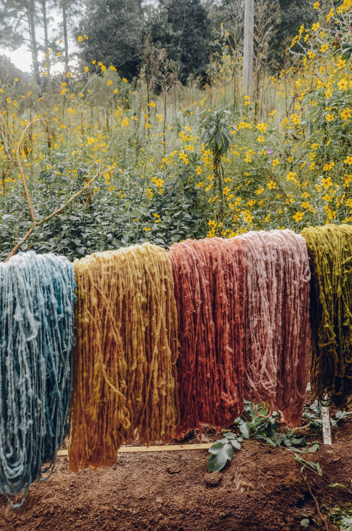 Weaving Together: foot loom in Momostenango - March 5 to 12, 2027
