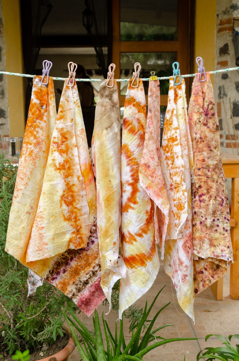 Plant Palette: Bundle Dye Technique